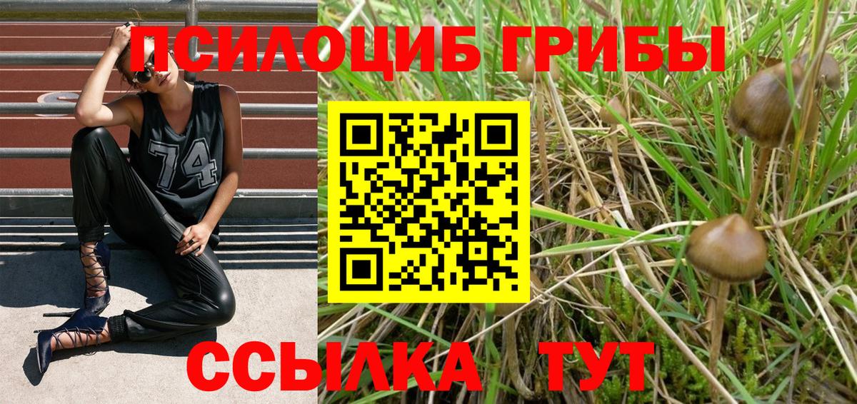 Галлюциногенные грибы Psilocybe  Вход с VPN  Озёрск 