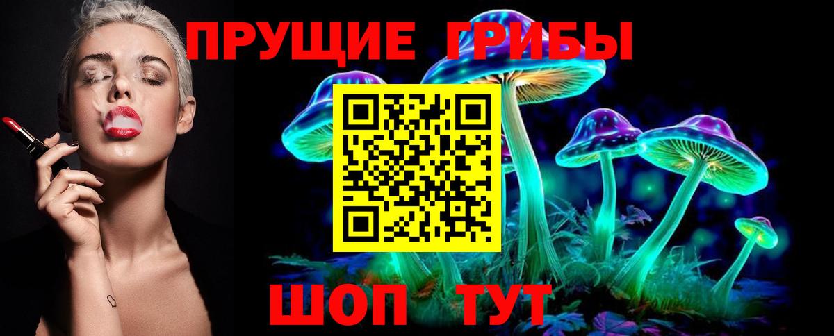 Галлюциногенные грибы Psilocybine cubensis Озёрск